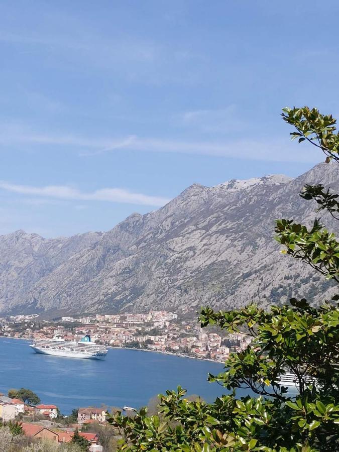 Casa Vecchia Villa Kotor Eksteriør bilde